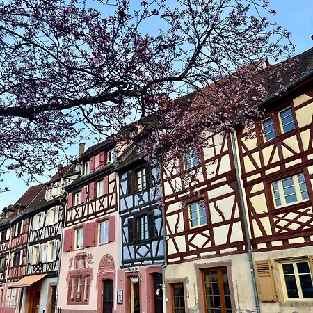 Le アパート マルコルスハイム