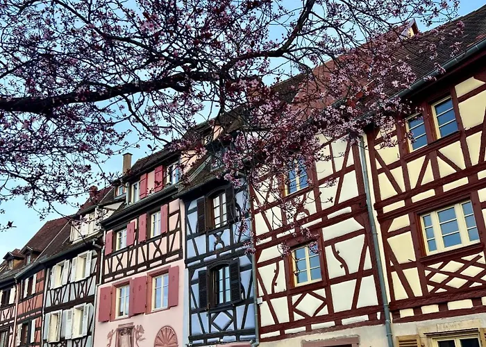 Le Apartmán Marckolsheim